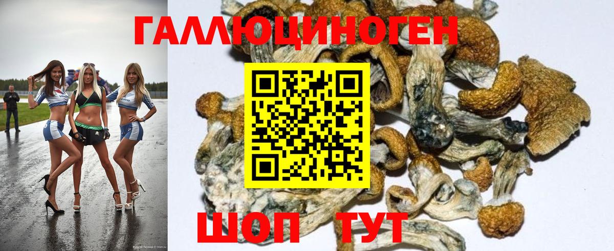 Псилоцибиновые грибы Magic Shrooms Норильск